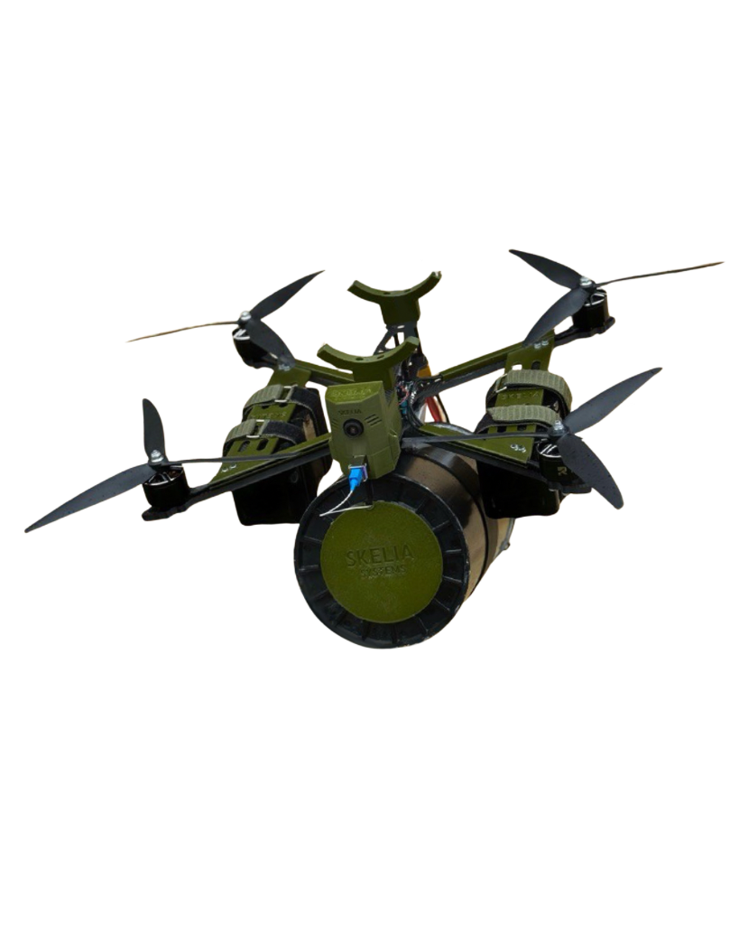 FPV Дрон 10 Дюймів "Мотанка 10"